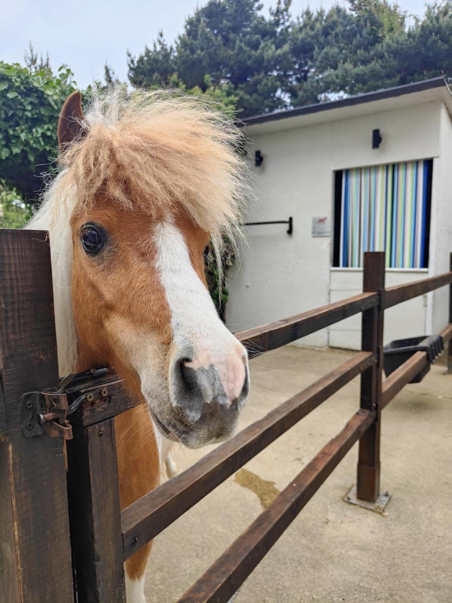 The Stable Annexe & Spa Dogdyke ภายนอก รูปภาพ
